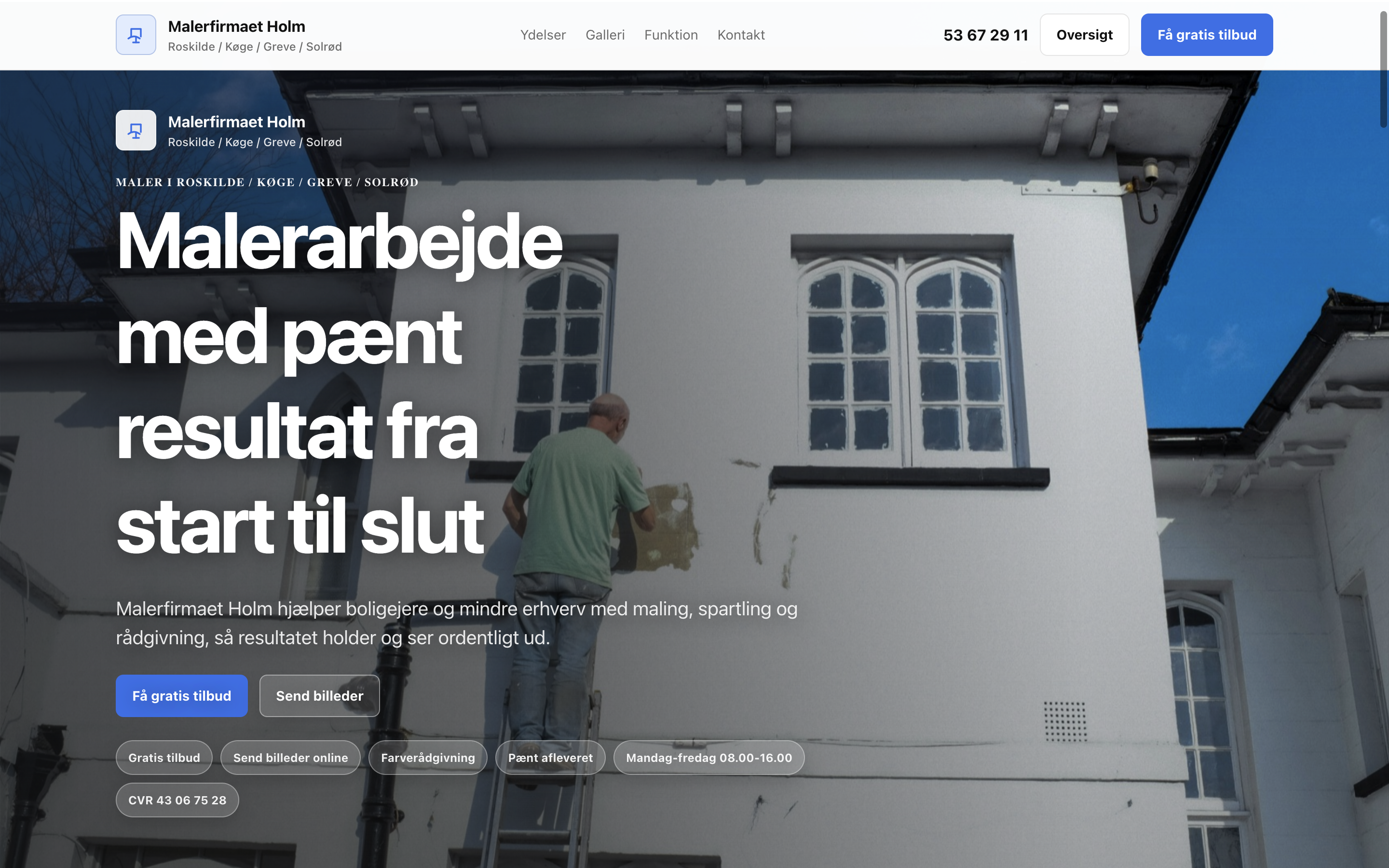 Hero screenshot for maler hjemmeside
